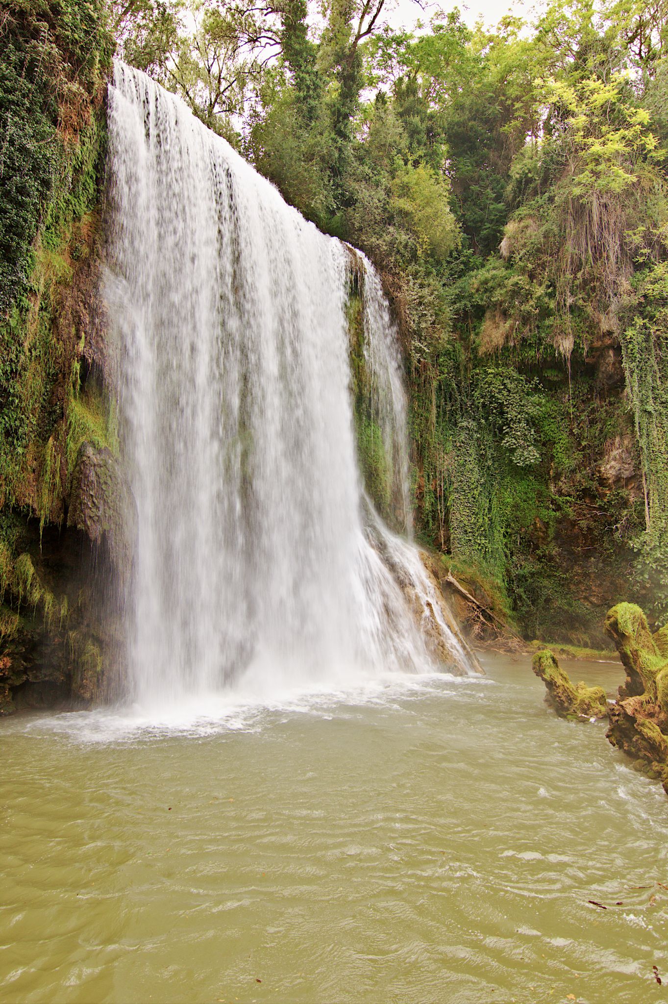 Monasterio de Piedra